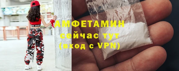 мдпв Бородино