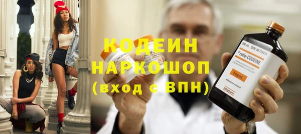 мдпв Бородино