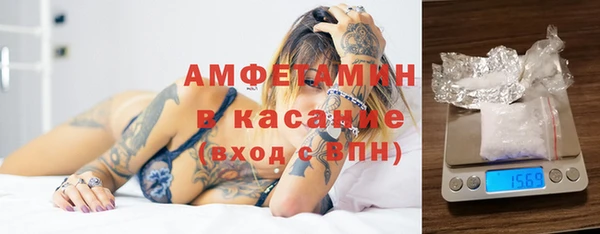 мдпв Бородино