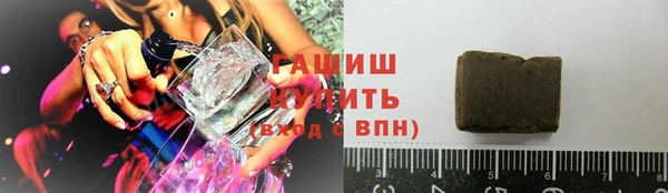 мдпв Бородино