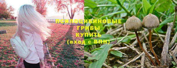 мдпв Бородино
