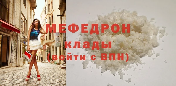 мдпв Бородино